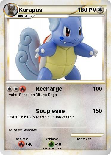 Pokemon Karapus