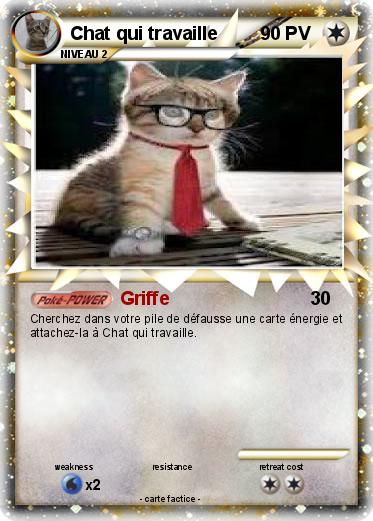 Pokemon Chat qui travaille