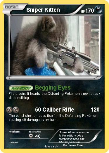 Pokemon Sniper Kitten