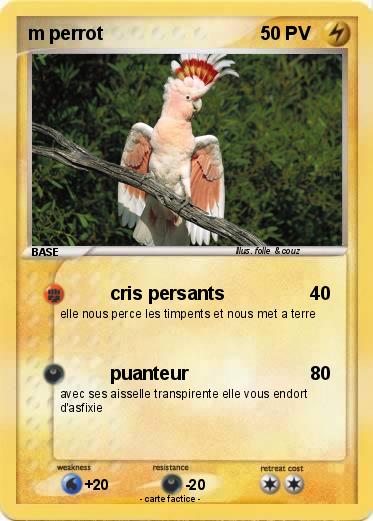 Pokemon m perrot