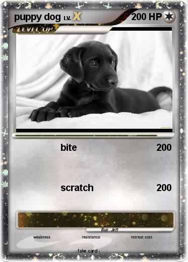 Pokemon puppy dog