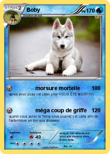Pokemon Boby
