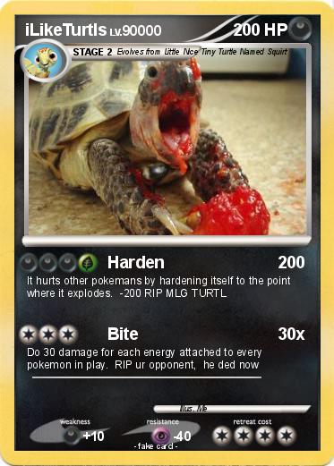 Pokemon iLikeTurtls
