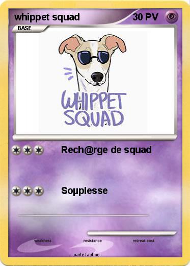 Pokemon whippet squad