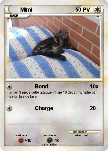 Pokemon Mimi