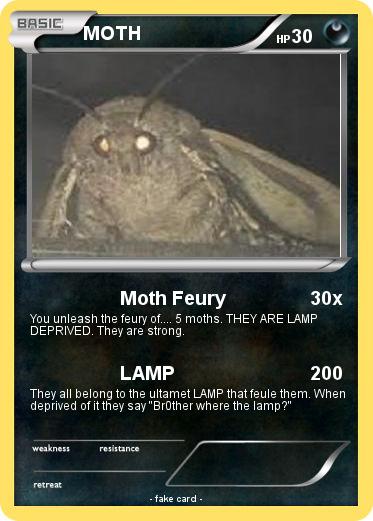 Pokemon MOTH