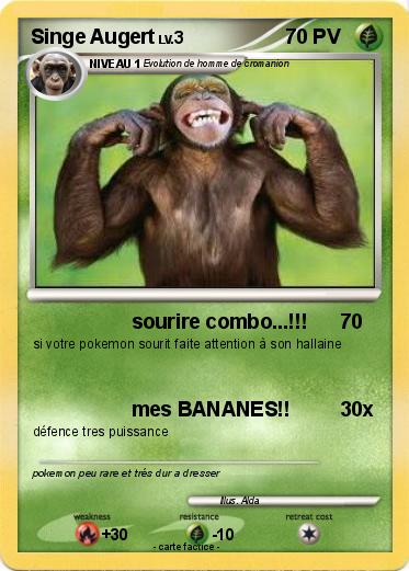 Pokemon Singe Augert