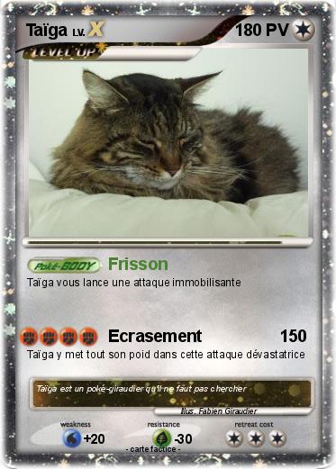 Pokemon Taïga