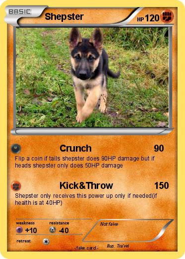 Pokemon Shepster