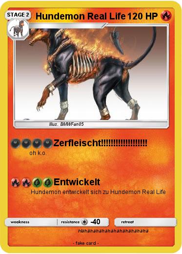 Pokemon Hundemon Real Life