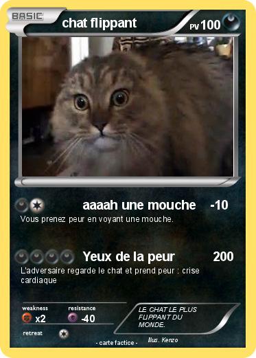 Pokemon chat flippant