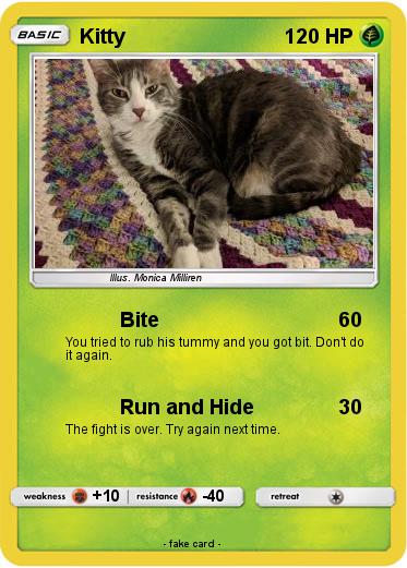 Pokemon Kitty