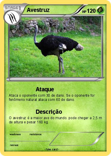 Pokemon Avestruz