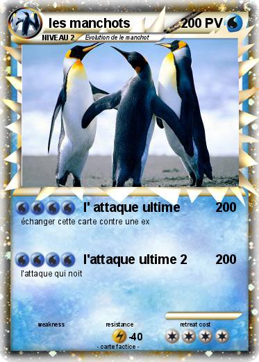 Pokemon les manchots