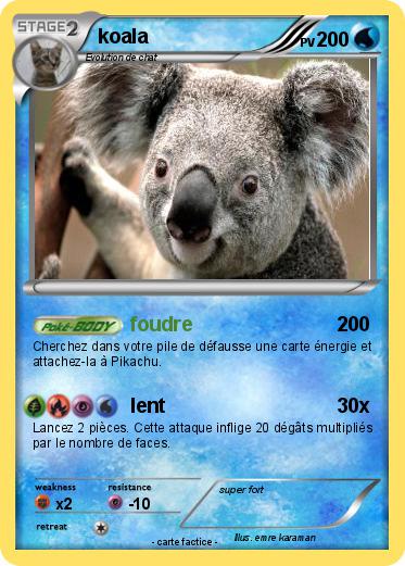 Pokemon koala