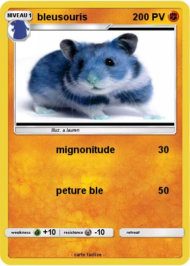 Pokemon bleusouris