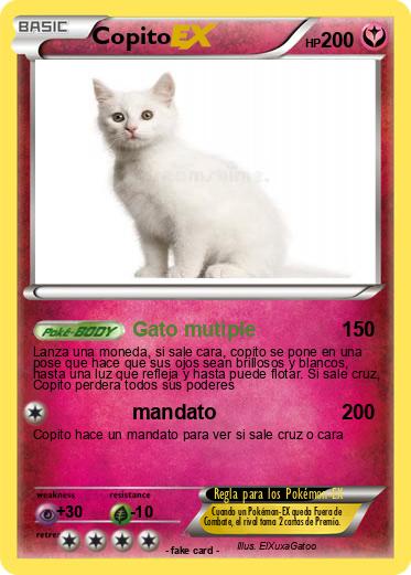 Pokemon Copito