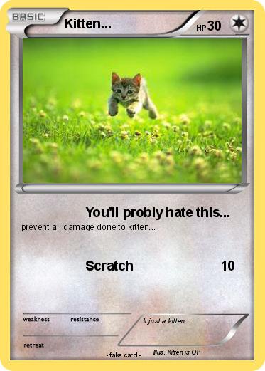 Pokemon Kitten...