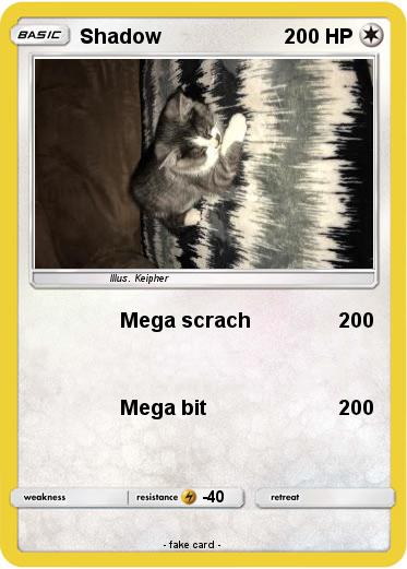 Pokemon Shadow