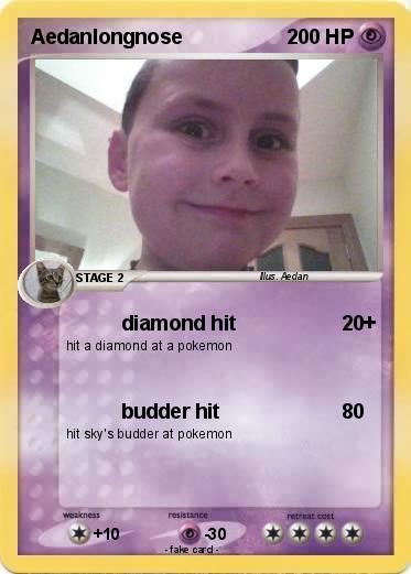 Pokemon Aedanlongnose