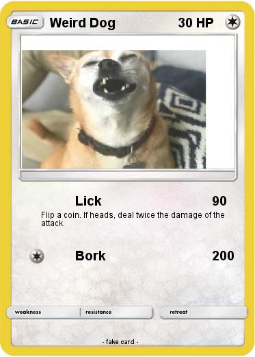 Pokemon Weird Dog