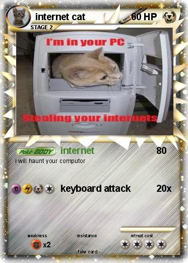Pokemon internet cat