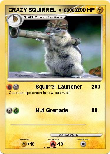 Pokemon CRAZY SQUIRREL