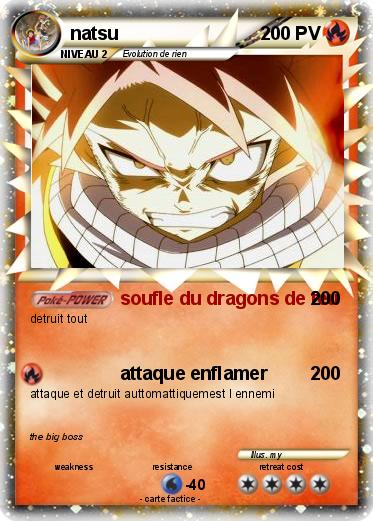 Pokemon natsu