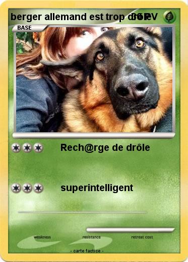 Pokemon berger allemand est trop drôle