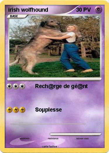 Pokemon irish wolfhound