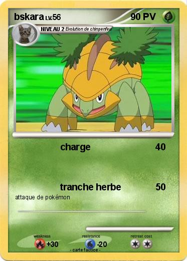 Pokemon bskara