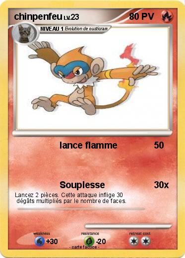 Pokemon chinpenfeu