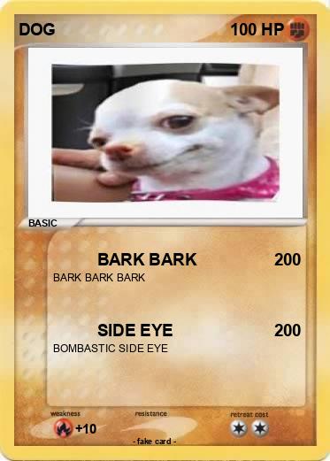 Pokemon DOG