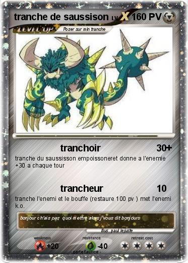 Pokemon tranche de saussison