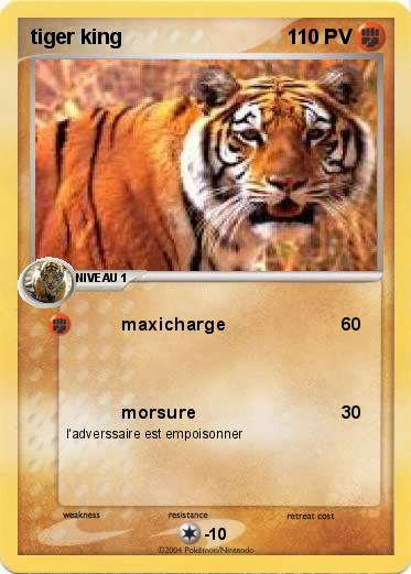 Pokemon tiger king