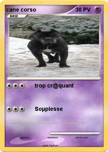Pokemon cane corso
