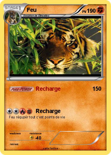 Pokemon Feu