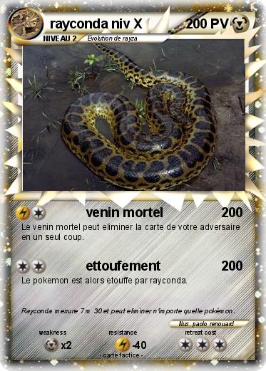 Pokemon rayconda niv X