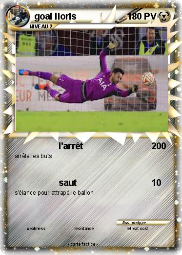 Pokemon goal lloris