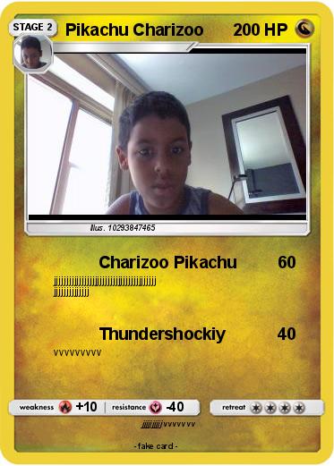 Pokemon Pikachu Charizoo
