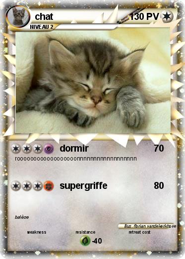 Pokemon chat