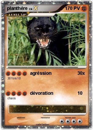 Pokemon planthère