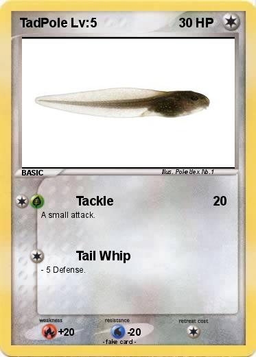 Pokemon TadPole Lv:5