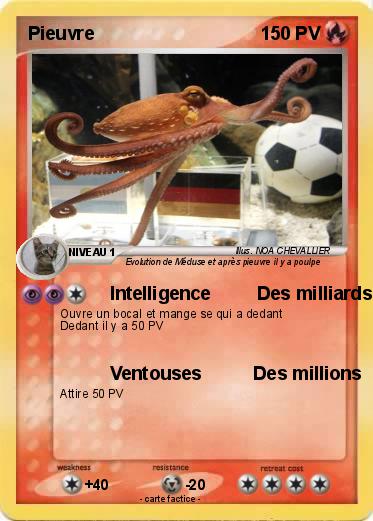 Pokemon Pieuvre