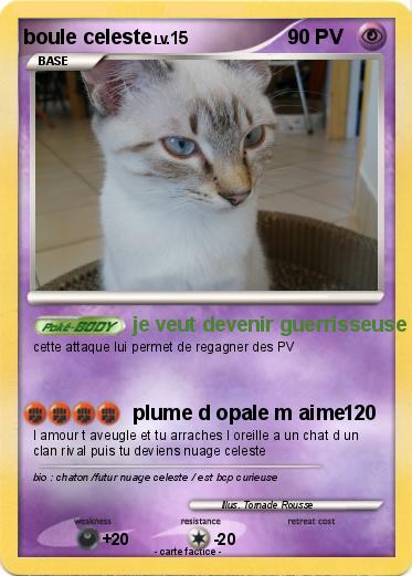 Pokemon boule celeste