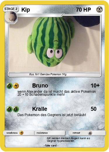 Pokemon Kip