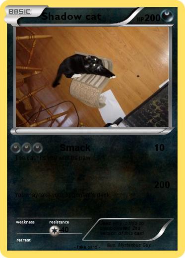 Pokemon Shadow cat