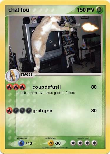 Pokemon chat fou