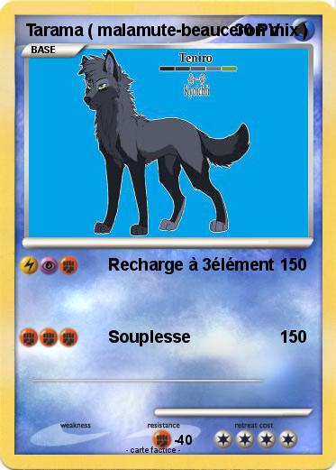 Pokemon Tarama ( malamute-beauceron mix )