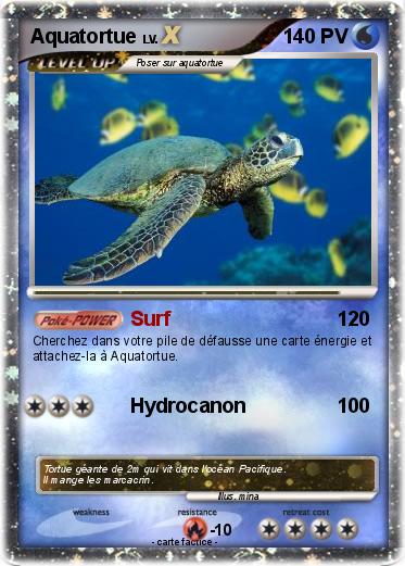 Pokemon Aquatortue